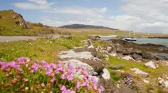 Flores e a paisagemprognosticos futebol certos hojeEigg