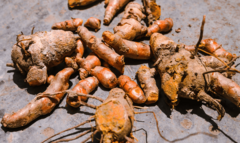 Nutritionists explain if turmeric, chilli pepper and spices get any health benefits