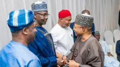 Nigerian govnors shaking hands