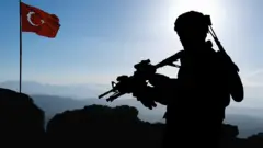 تصویر ضدنور یک سرباز اسلحه به دست و پرچم ترکیه