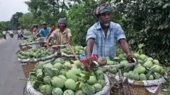 আমি ব্যবসায়ী