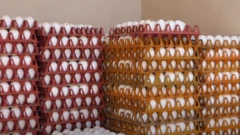 ઈંડાં