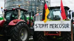 Протест фермеров против соглашения ЕС с Меркосур у здания Европарламента в Страсбурге
