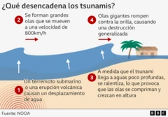Gráfico sobre qué desencadenan los tsunamis.
