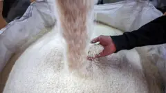 चामलको रास