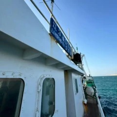 Markabka kalluumaysiga