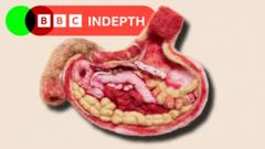 "J'ai passé des mois à étudier si la santé intestinale influe sur le vieillissement, et si je pouvais optimiser mon propre intestin pour mieux vieillir"