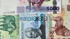 Serikali ya rais Magufuli imewekeza mabilioni ya madola katika sekta ya viwanda ambayo inashirikisha ujenzi wa reli mpya, kuimarisha shirika la ndege la taifa pamoja na kiwanda cha umeme.