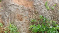 రాతి గుంటలు 