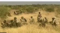 Aworan awọn ṣoja ninu igbo
