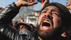 સોશિયલ મીડિયા