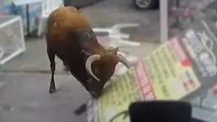 साँढे