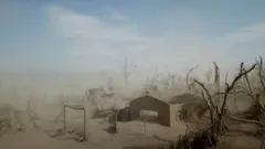 Таал аралы