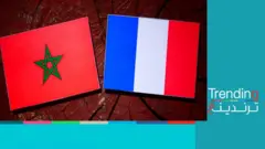 فيلم مغربي وعرافة يتنبأوا بوصول المنتخب المغربي إلى مرحلة النصف النهائي في كأس العالم