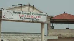 አርጆ ስኳር ፋብሪካ