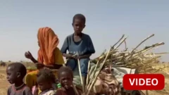 'உதவி கிடைக்காவிட்டால் இந்த மக்கள் கண்காணாத இடத்தில் இறந்துவிடுவார்கள்'- சூடானில் என்ன நடக்கிறது?