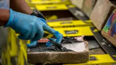 Europol uyuşturucu operasyonu (Arşiv görüntüsü)