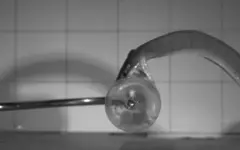 Uma cobra filmada em preto e branco atacando um objeto