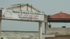 Warshaa sukaaraa Dhidheessaa