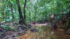 ජාතික සංරක්ෂණ විමසුමට අනුව ඉහළ ප්‍රමුඛත්වයක් දී සංරක්ෂණ කළයුතු වනාන්තරයක් ලෙස කොට්ටව රක්ෂිතය නම් කර ඇත.