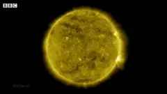 Sunce
