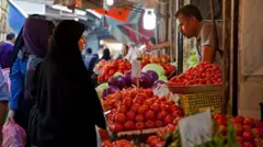 دولت حسن روحانی پس از افزایش قیمت بنزین از بازگرداندن درآمد حاصل از افزایش قیمت بنزین به خانوارهای "متوسط و کم درآمد" سخن گفت