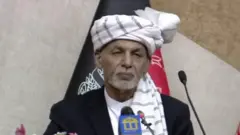 ولسمشر غني
