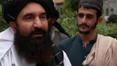 तालिबान