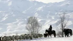 Кыргызстан