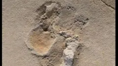 Pesquisa de equipe internacional desafia teoria mais aceita atualmente de que os hominíneos surgiram e evoluíram na África antes de qualquer outro lugar do planeta.