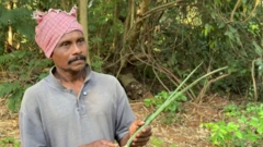 "உண்மையில், பாம்புகள் தாவரங்களின் வாசனையை விட அவற்றுக்கான உணவு காணப்படும் இடங்களுக்கு வருவதற்கான வாய்ப்புகள் தான் அதிகம். மேலும் பாதுகாப்பானதாகத் தோன்றும் இடங்களாலும் பாம்புகள் அதிகம் ஈர்க்கப்படுகின்றன," என்று பேராசிரியர் மஞ்சுலதா தெரிவித்தார்.