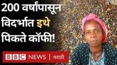 कॉफीचे मळे 
