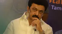 ஸ்டாலின்