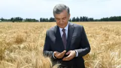 grain