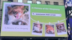 New York City'deki Times Meydanı'nda bir köpeğin fotoğraflarını gösteren bir reklam panosu. Üzerinde "Wangwang'ımızın anısına" yazıyordu.