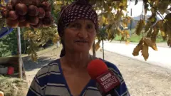 Lənkəran - Lerik yolu