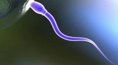 डिम्बमा प्रवेश गर्दै शुक्रकीट 