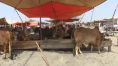 Lo'