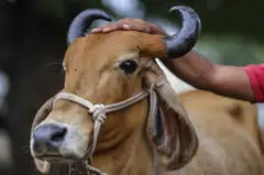 પ્રતીકાત્મક તસવીર