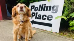 投票所の看板の前に座る犬（4日）