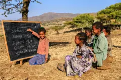 ተምሃሮ