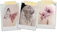 Uma colagem de três fotos estilo Polaroid com tatuagens desenhadas e pintadas pela tatuadora sul-coreana Banul. A primeira é uma borboleta, a segunda um leão usando um enfeite de cabeça e a terceira uma flor roxa