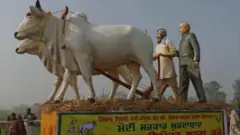 farmers