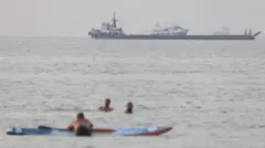Ljudi plivaju u moru, u njihovoj pozadini teretni brod