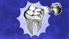 பல் மருத்துவம், பற்கள், பல் சிகிச்சை