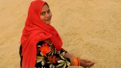 ధాన్యం