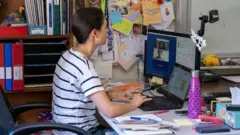 an online teacher
