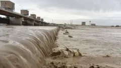 د هلمند سیند اوبه د ایران سیستان بلوچستان کې هامون ډنډ ته رسېږي