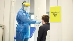 corona virus
