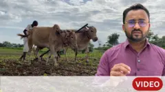 गावाकडची गोष्ट